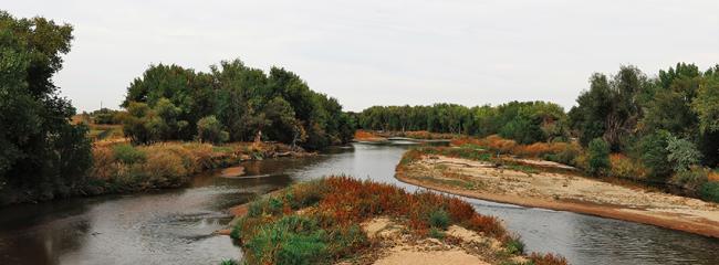 The South Platte River, shown here just north of Brighton, Colorado, is one of the main sources of surface water in the state. (Image courtesy of Annie Kitchen, Brown and Caldwell)