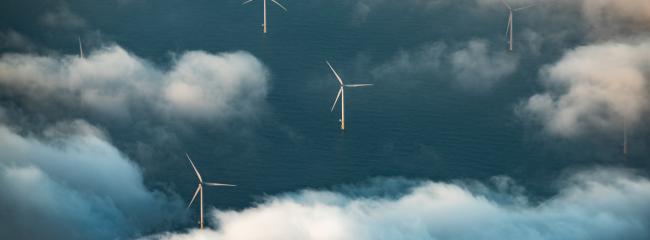 Understanding the habitats and migratory patterns of endangered species, like the North Atlantic right whale, can help spur conservation-guided offshore wind development. (Photograph courtesy of gettyimages.com/Eachat)