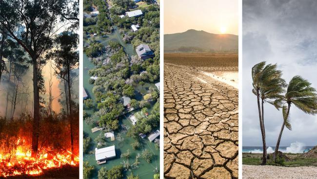 four kinds of natural disasters